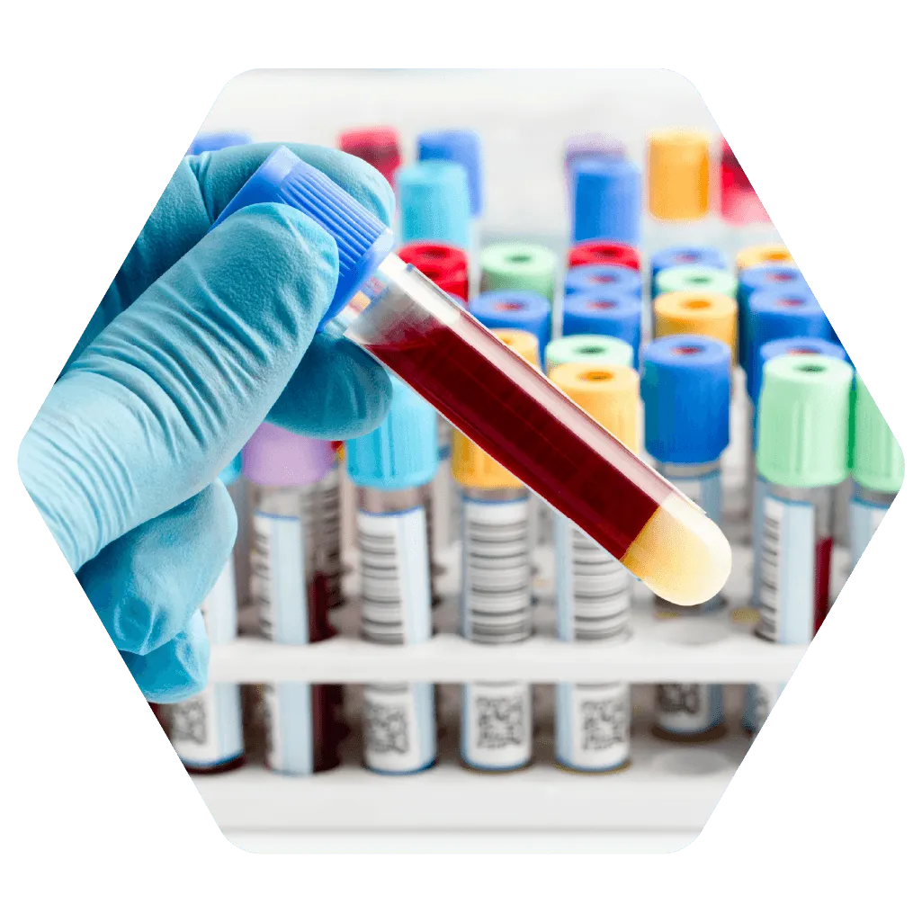Clinical Research and Pharmaceutical Support